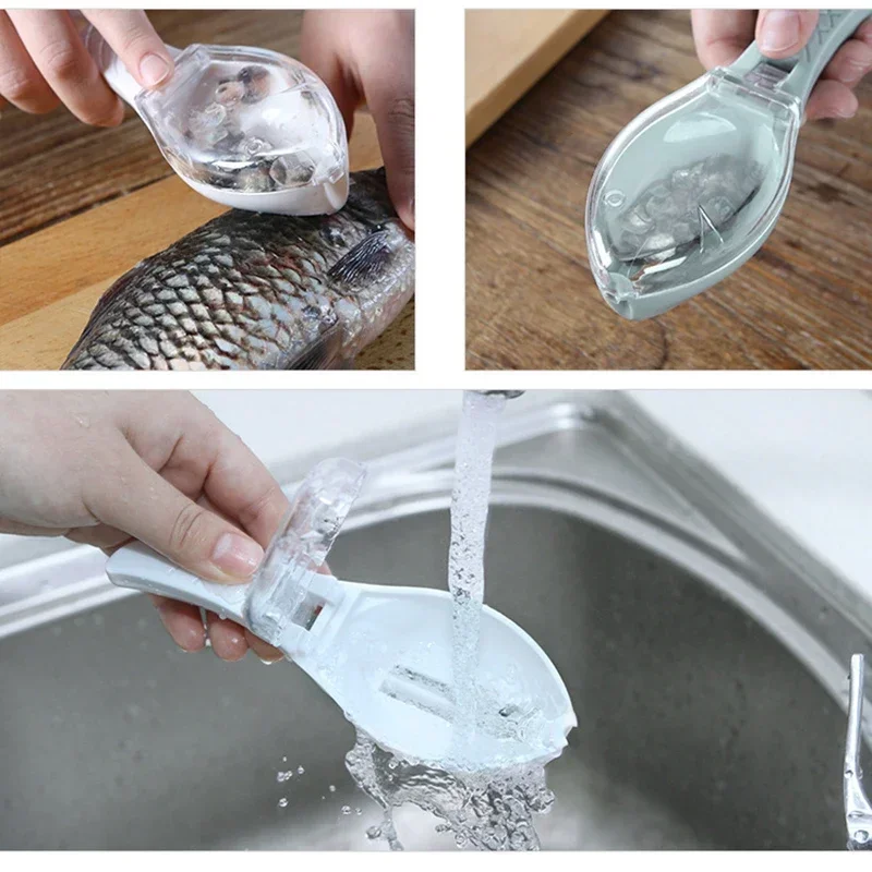 Grattugie per squame di pesce  - Fishing Equipment Kitchener recensione e prezzo